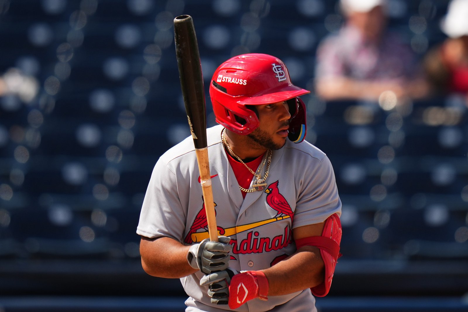 ¿Un año A+ en la granja? Calificando a cada prospecto de los Cardinals