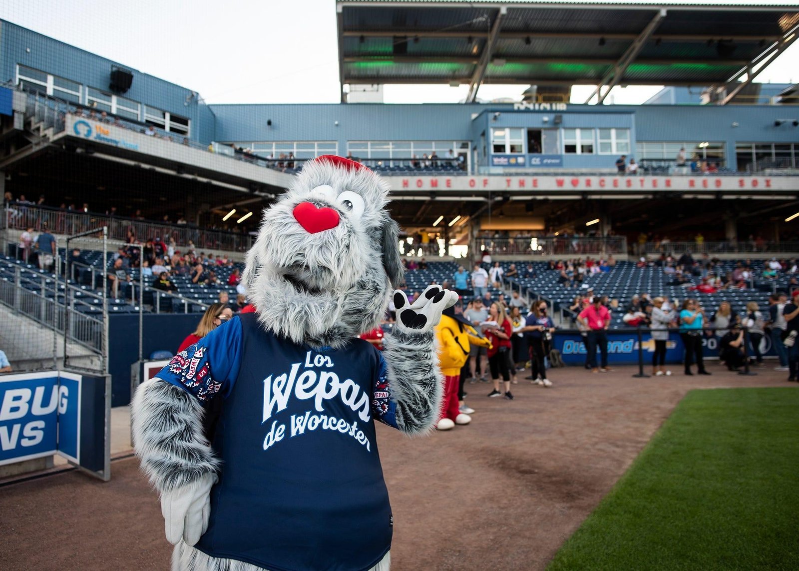 Ligas Menores Red Sox: El balance de la temporada de Kristian Campbell, Franklin Arias y otros jugadores en Worcester